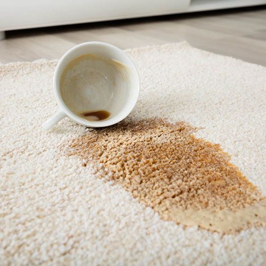 Area Rug Care | Messina's Flooring