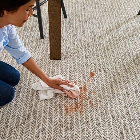 Carpet Care | Messina's Flooring